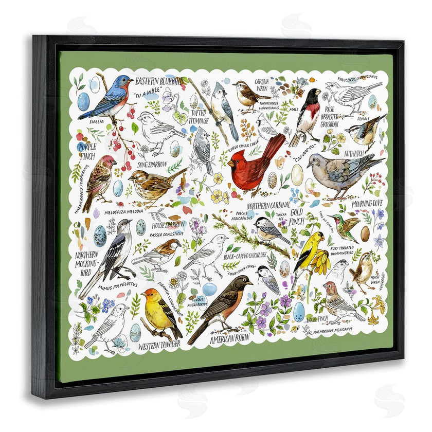 Jane Maday | Various Bird Species