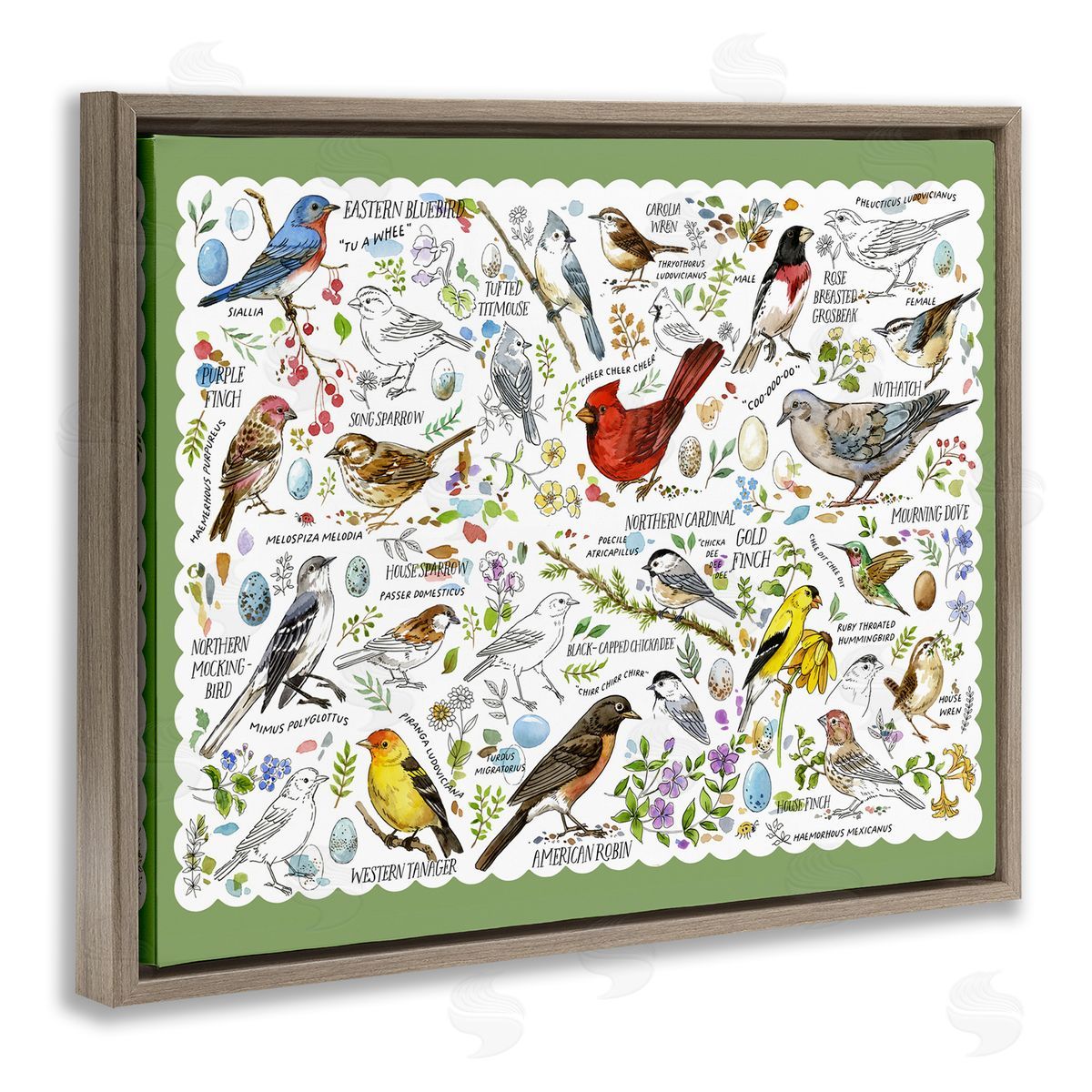 Various Bird Species Brown Floating Frame Canvas Wall Art, Home Decor by Jane Maday