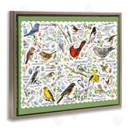 Jane Maday | Various Bird Species