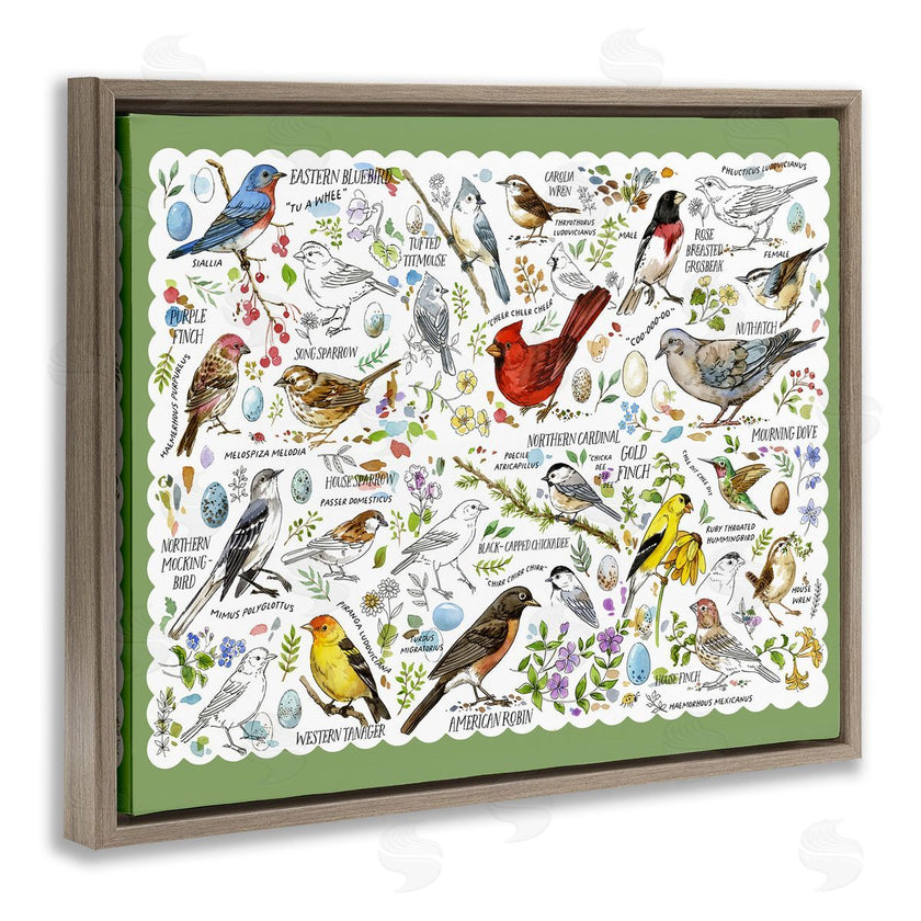 Jane Maday | Various Bird Species