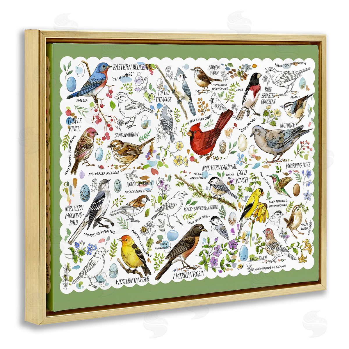 Various Bird Species Gold Floating Frame Canvas Wall Art, Home Decor by Jane Maday