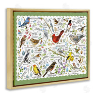 Jane Maday | Various Bird Species