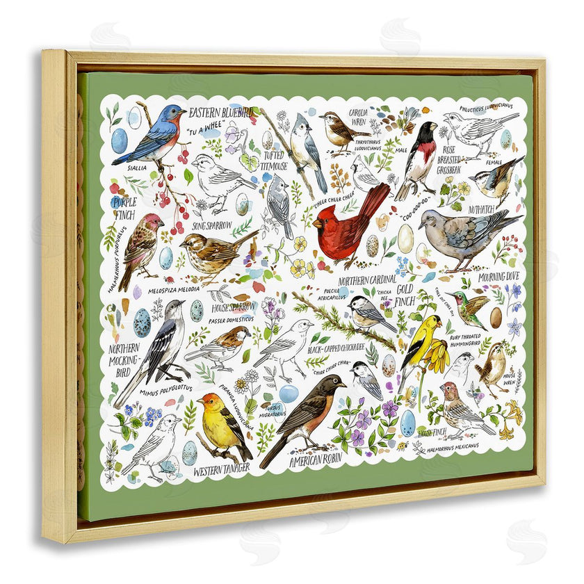 Jane Maday | Various Bird Species