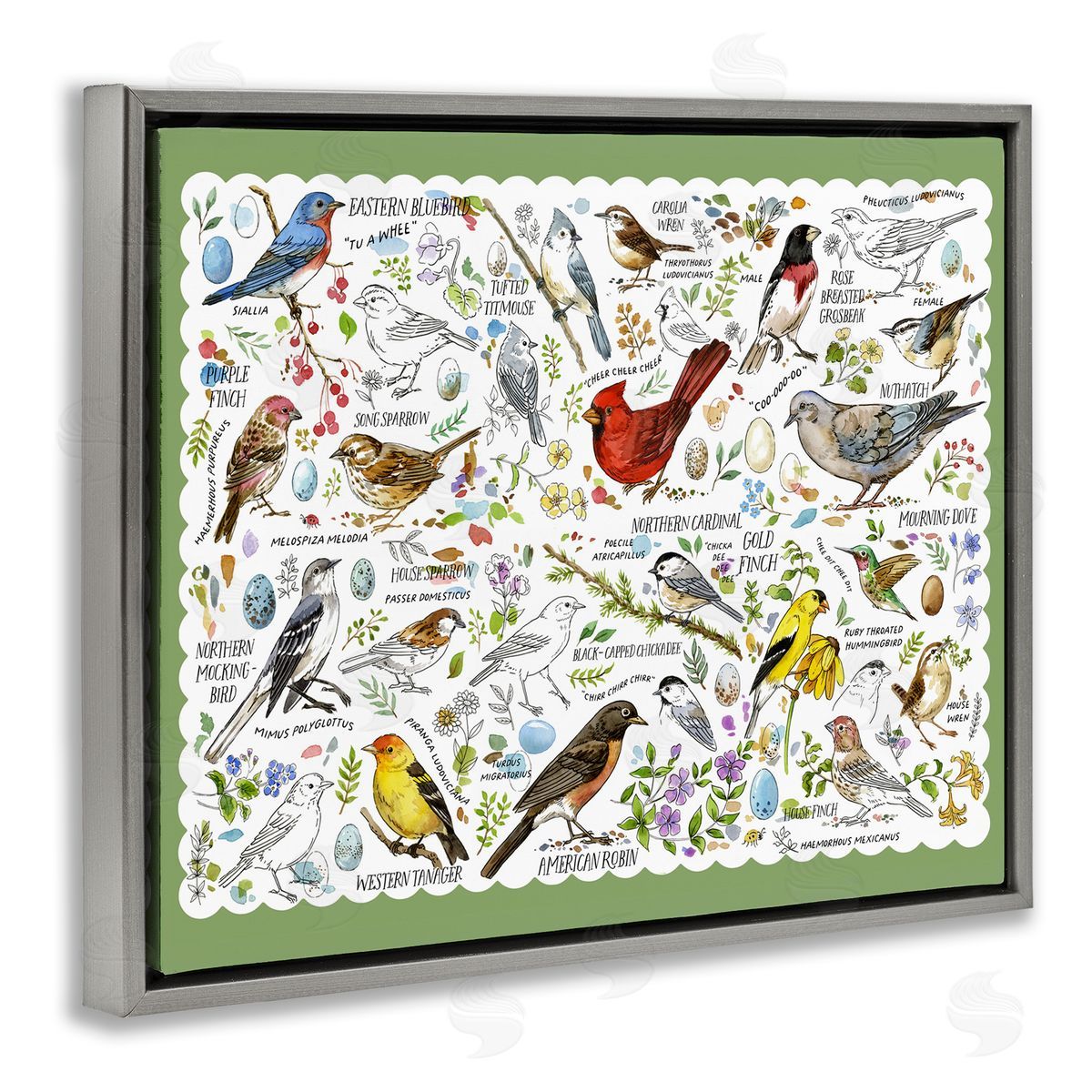 Various Bird Species Grey Floating Frame Canvas Wall Art, Home Decor by Jane Maday