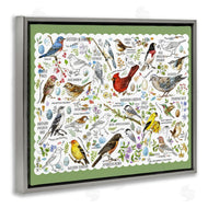 Jane Maday | Various Bird Species
