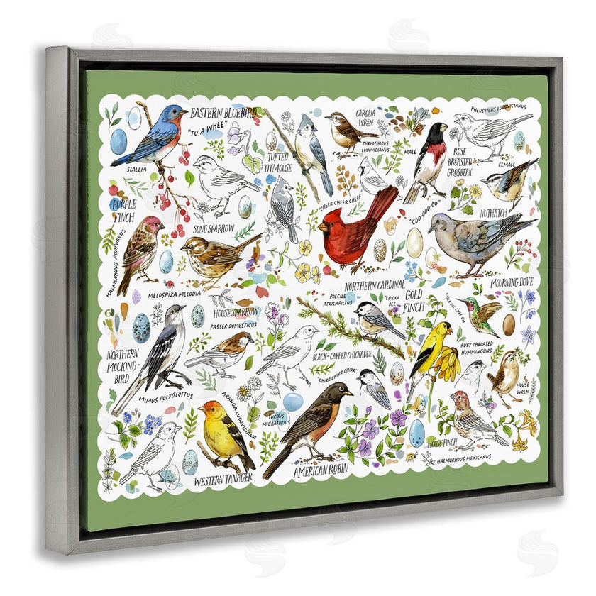 Jane Maday | Various Bird Species