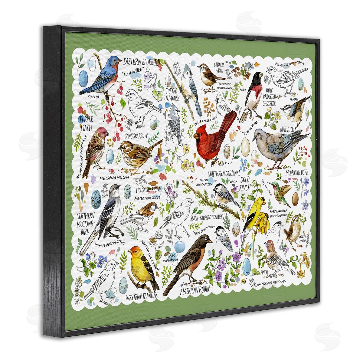 Various Bird Species Black Frame Print Wall Art, Home Decor by Jane Maday