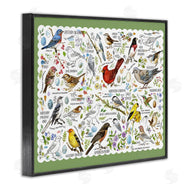 Jane Maday | Various Bird Species