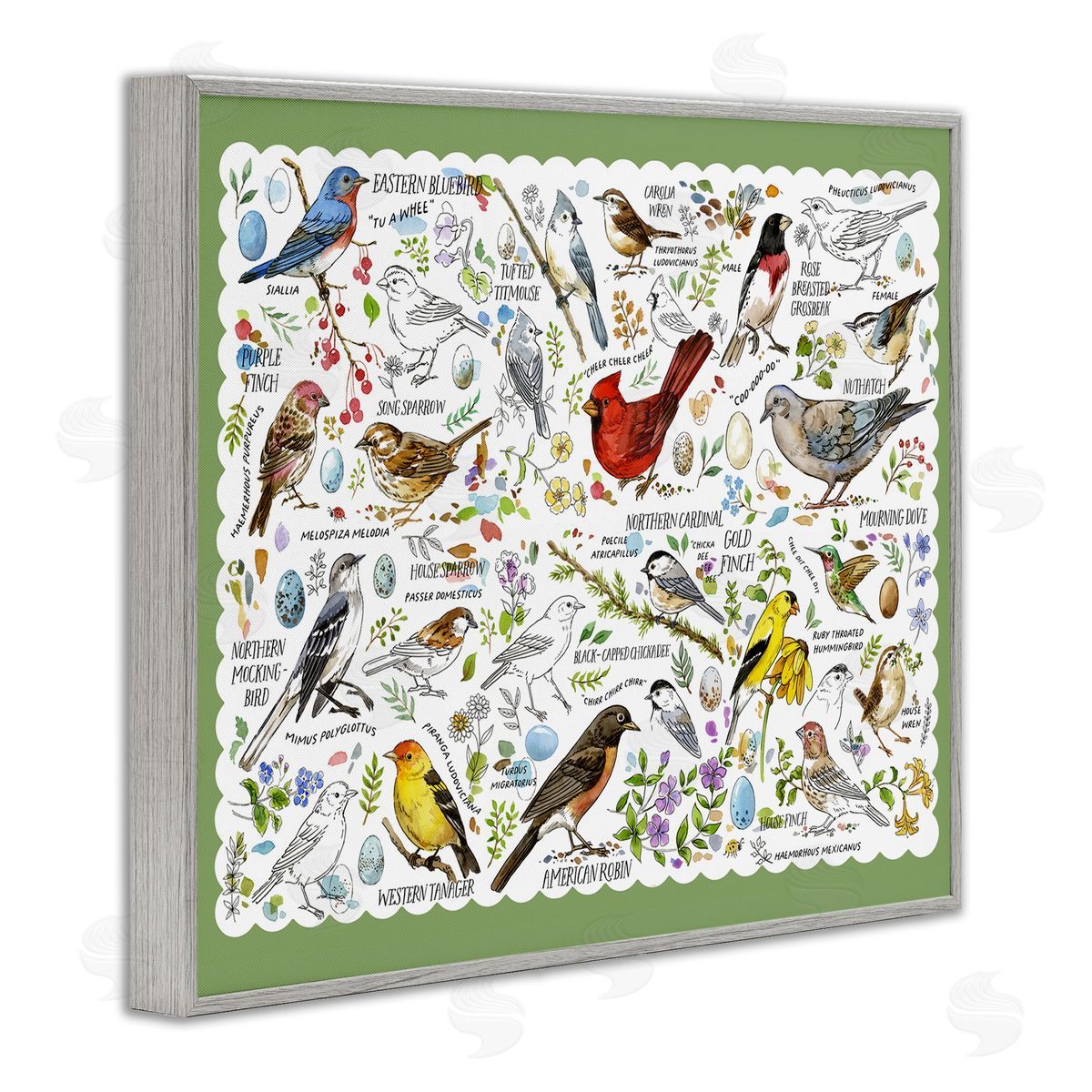Various Bird Species Grey Frame Print Wall Art, Home Decor by Jane Maday