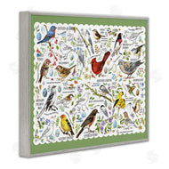 Jane Maday | Various Bird Species