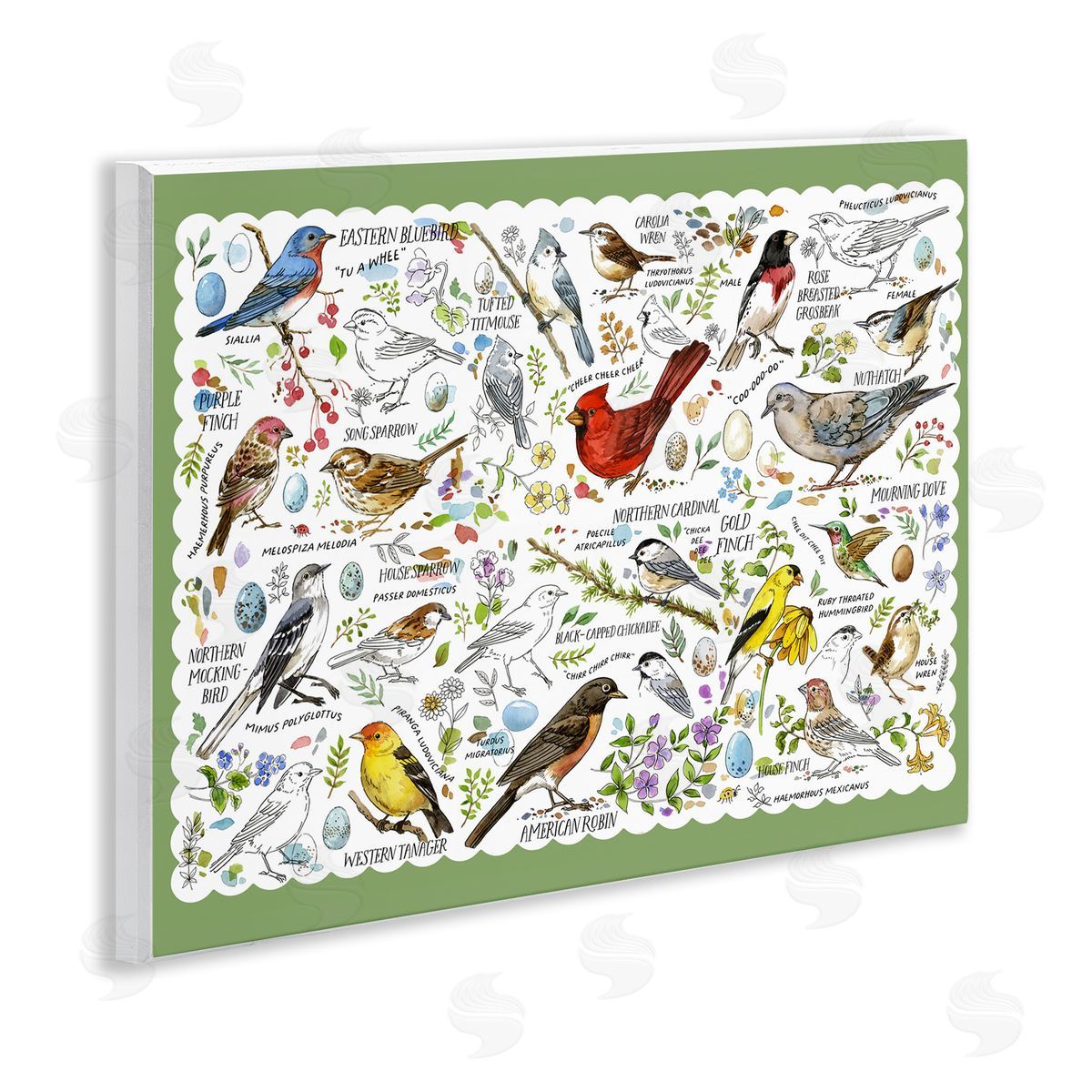 Various Bird Species Wood Plaque Wall Art, Home Decor by Jane Maday