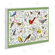Jane Maday | Various Bird Species