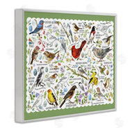 Jane Maday | Various Bird Species