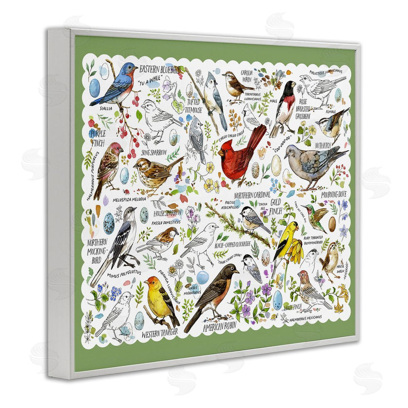 Jane Maday | Various Bird Species