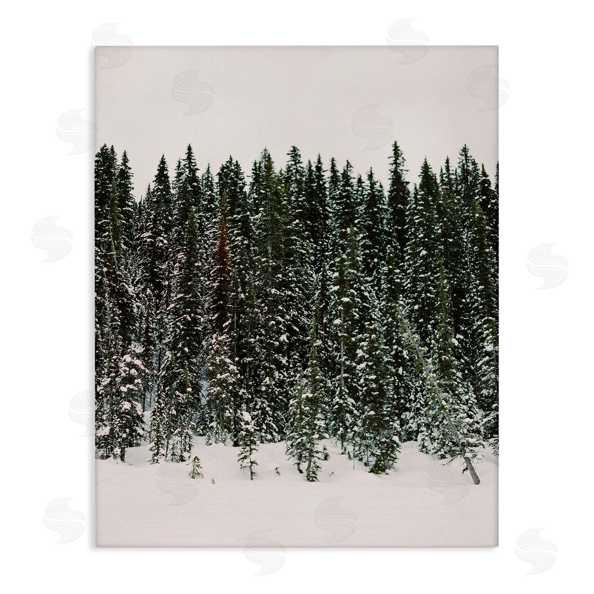 Winter Forest Grove Canvas Wall Art, Home Decor by Justine Milton