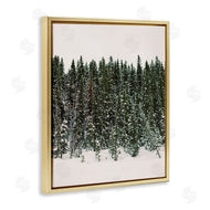 Justine Milton | Winter Forest Grove