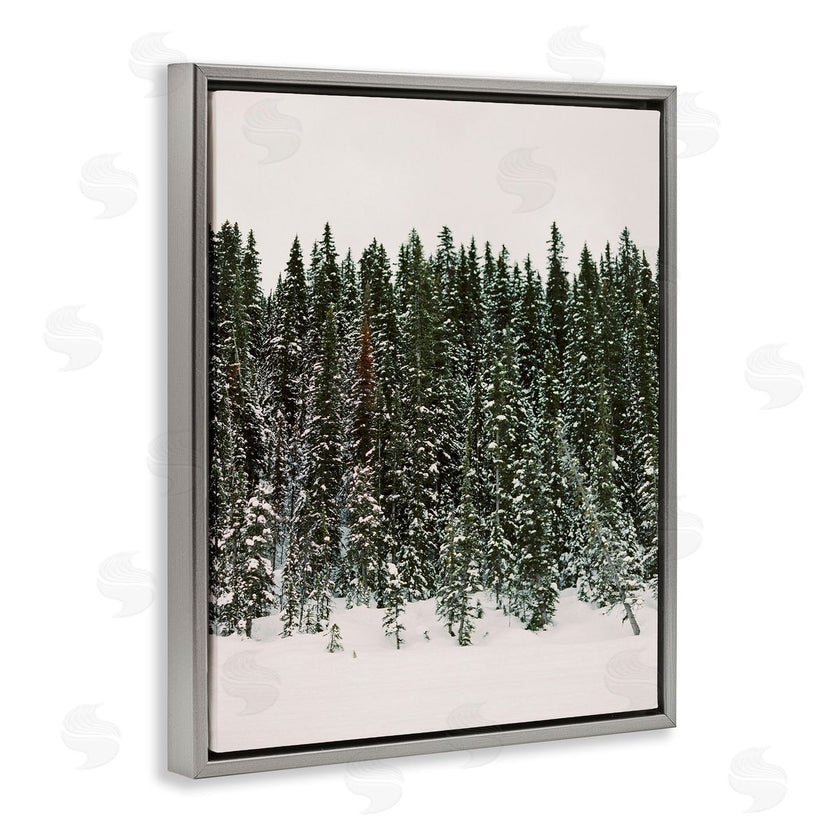 Justine Milton | Winter Forest Grove