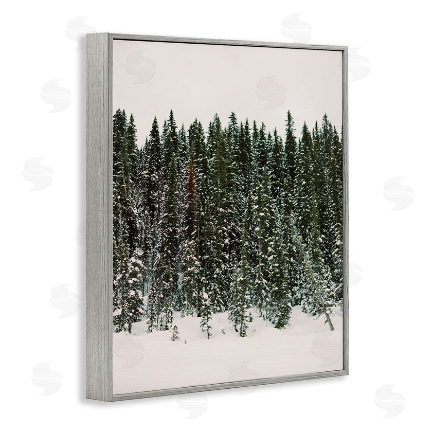 Justine Milton | Winter Forest Grove