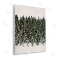 Justine Milton | Winter Forest Grove