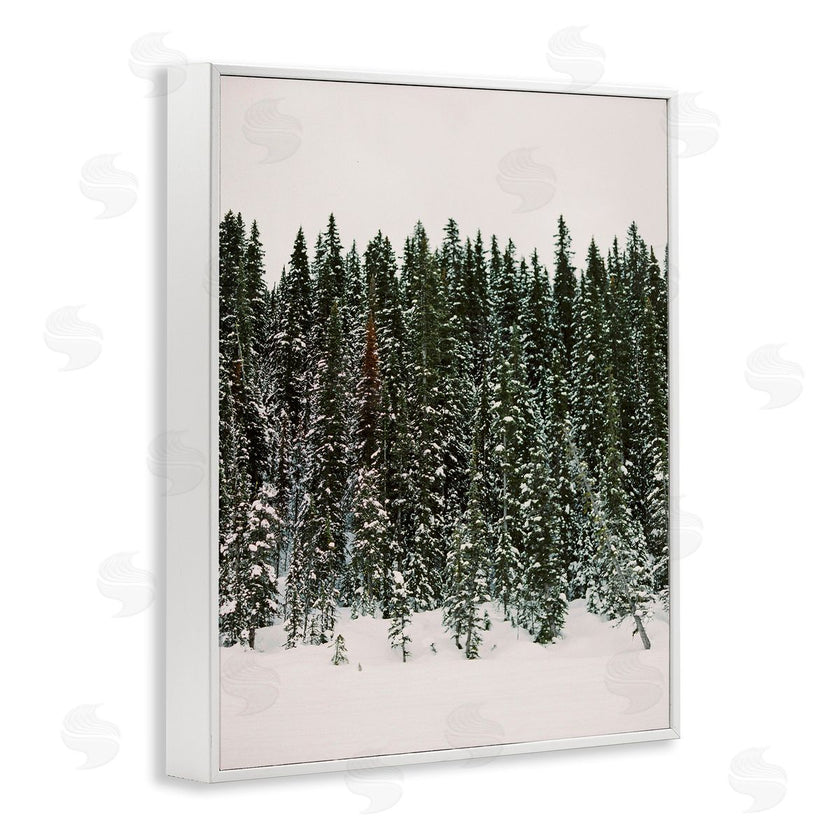 Justine Milton | Winter Forest Grove