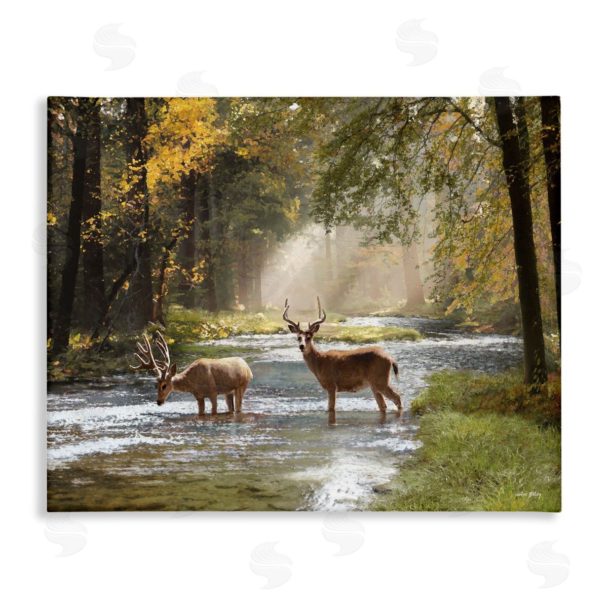 Deer Grazing in Creek Canvas Wall Art, Home Decor by Amber Sterling