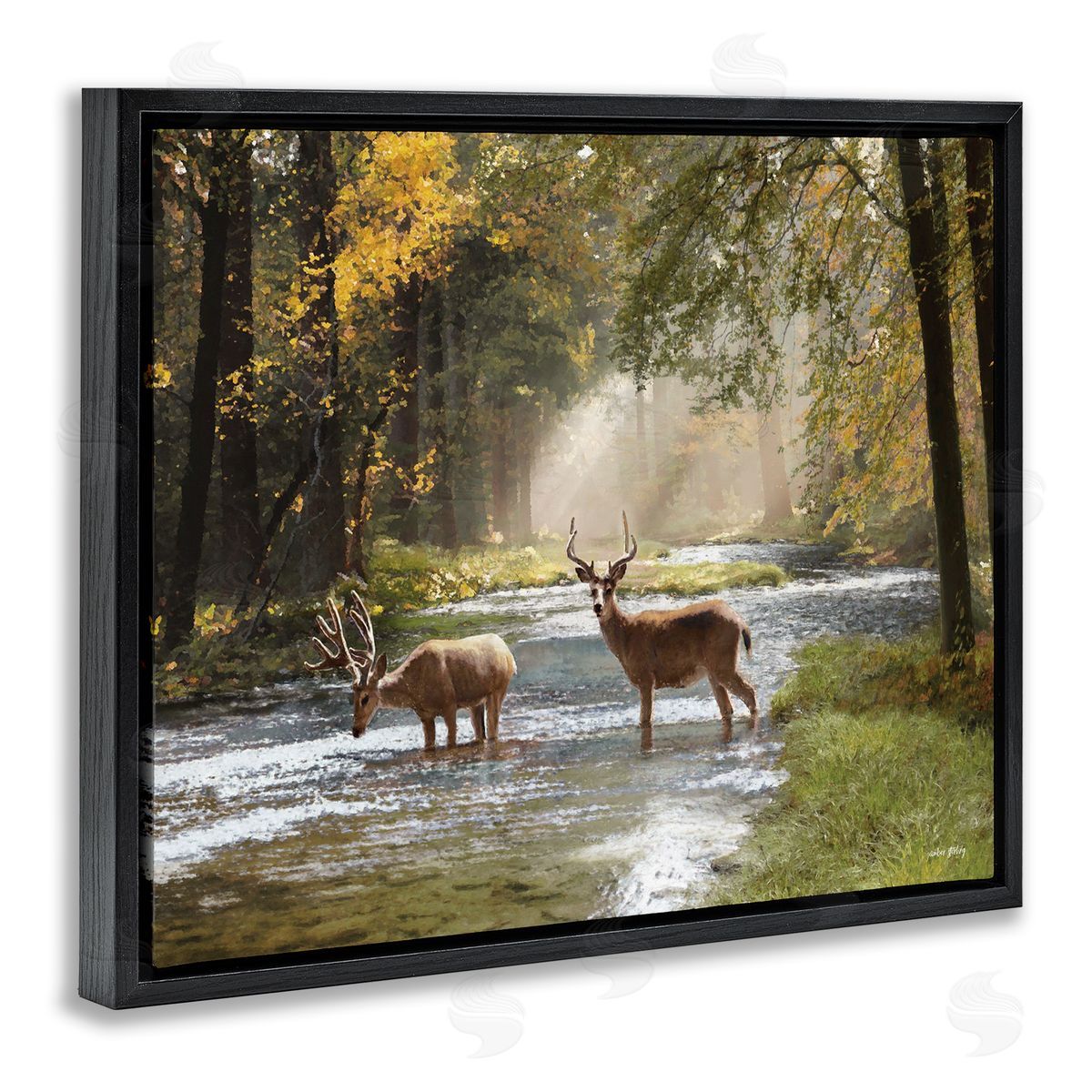 Deer Grazing in Creek Black Floating Frame Canvas Wall Art, Home Decor by Amber Sterling