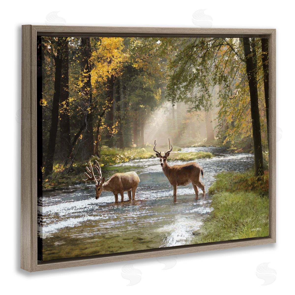 Deer Grazing in Creek Brown Floating Frame Canvas Wall Art, Home Decor by Amber Sterling