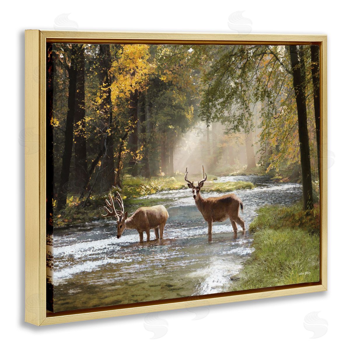 Deer Grazing in Creek Gold Floating Frame Canvas Wall Art, Home Decor by Amber Sterling