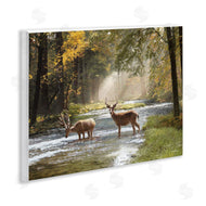 Amber Sterling | Deer Grazing in Creek