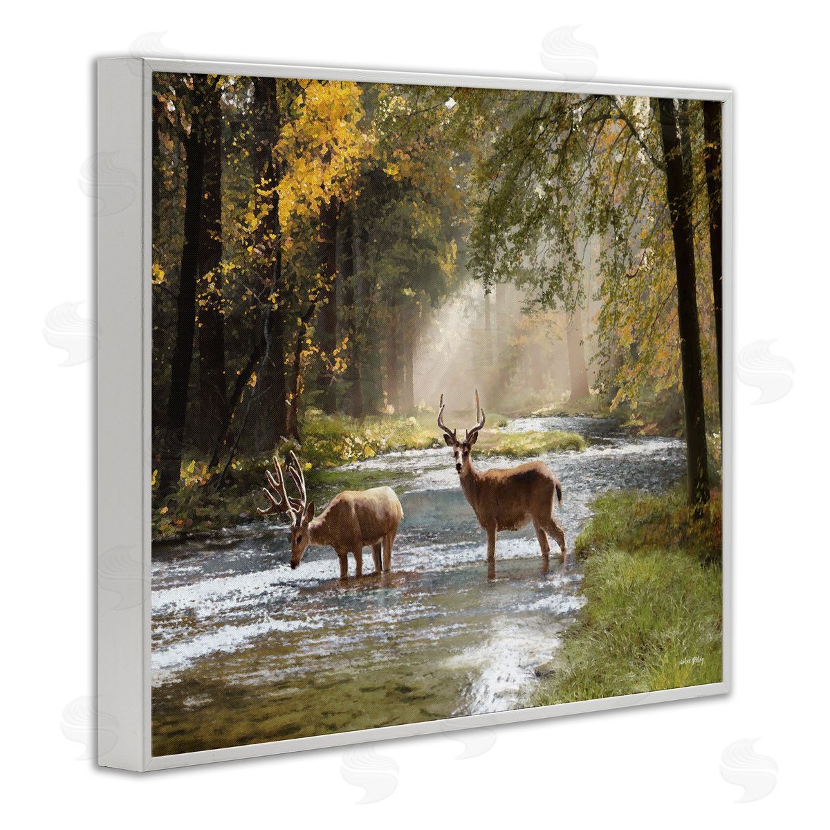Deer Grazing in Creek White Frame Print Wall Art, Home Decor by Amber Sterling