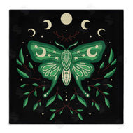 XYZ Studio | Celestial Moth & Botanicals
