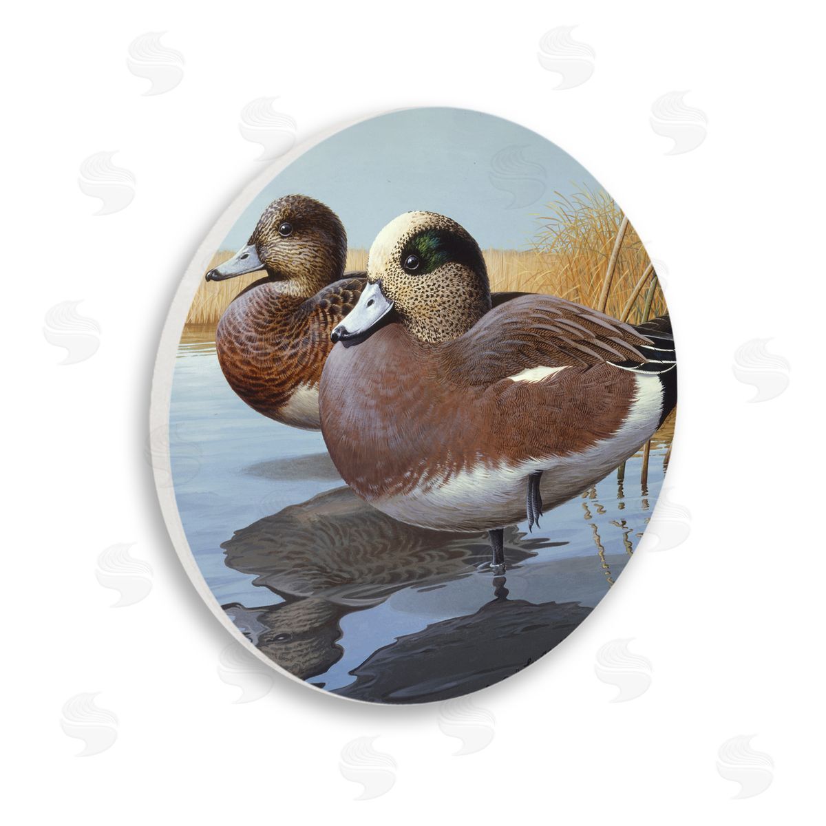 Rod Lawrence American Wigeons on Shore Wooden Wall Plaque Art Print