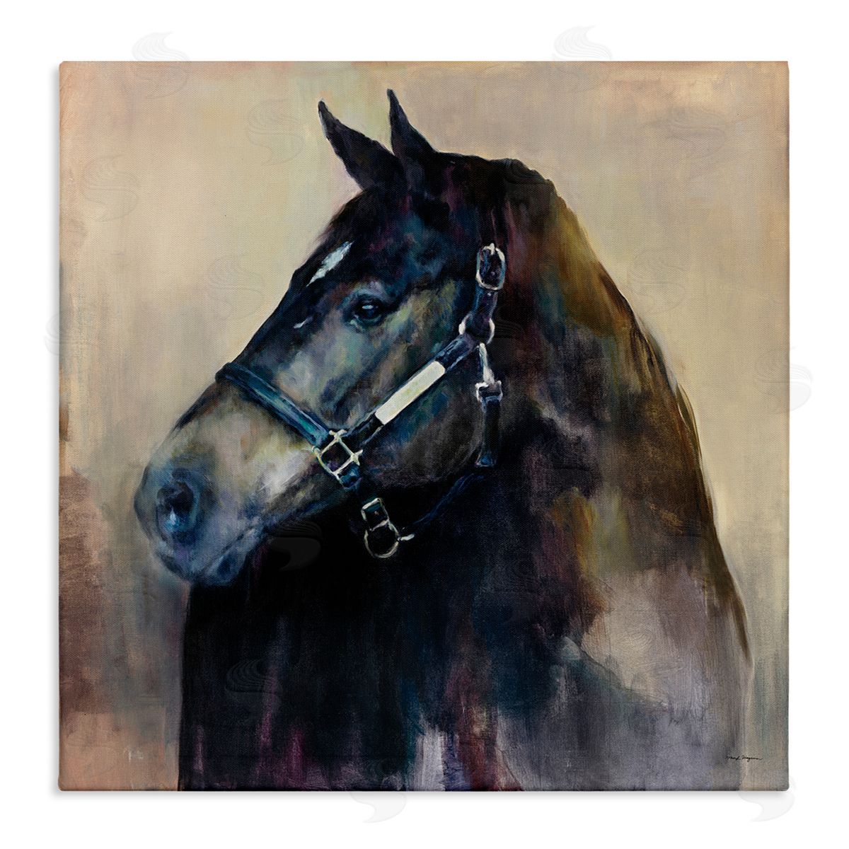 Ritzy Black Horse Canvas Wall Art, Home Decor by Marilyn Hageman