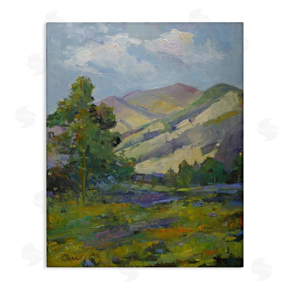 Spring Day Mountain Canvas Wall Art, Home Decor by Alexi Fine