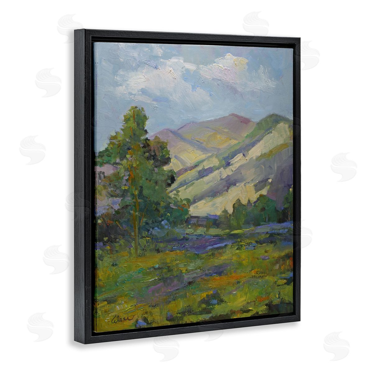 Spring Day Mountain Black Floating Frame Canvas Wall Art, Home Decor by Alexi Fine