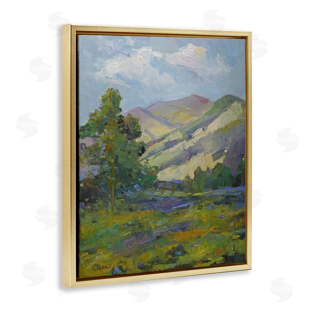 Spring Day Mountain Gold Floating Frame Canvas Wall Art, Home Decor by Alexi Fine