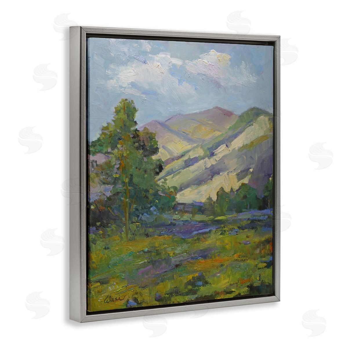 Spring Day Mountain Grey Floating Frame Canvas Wall Art, Home Decor by Alexi Fine