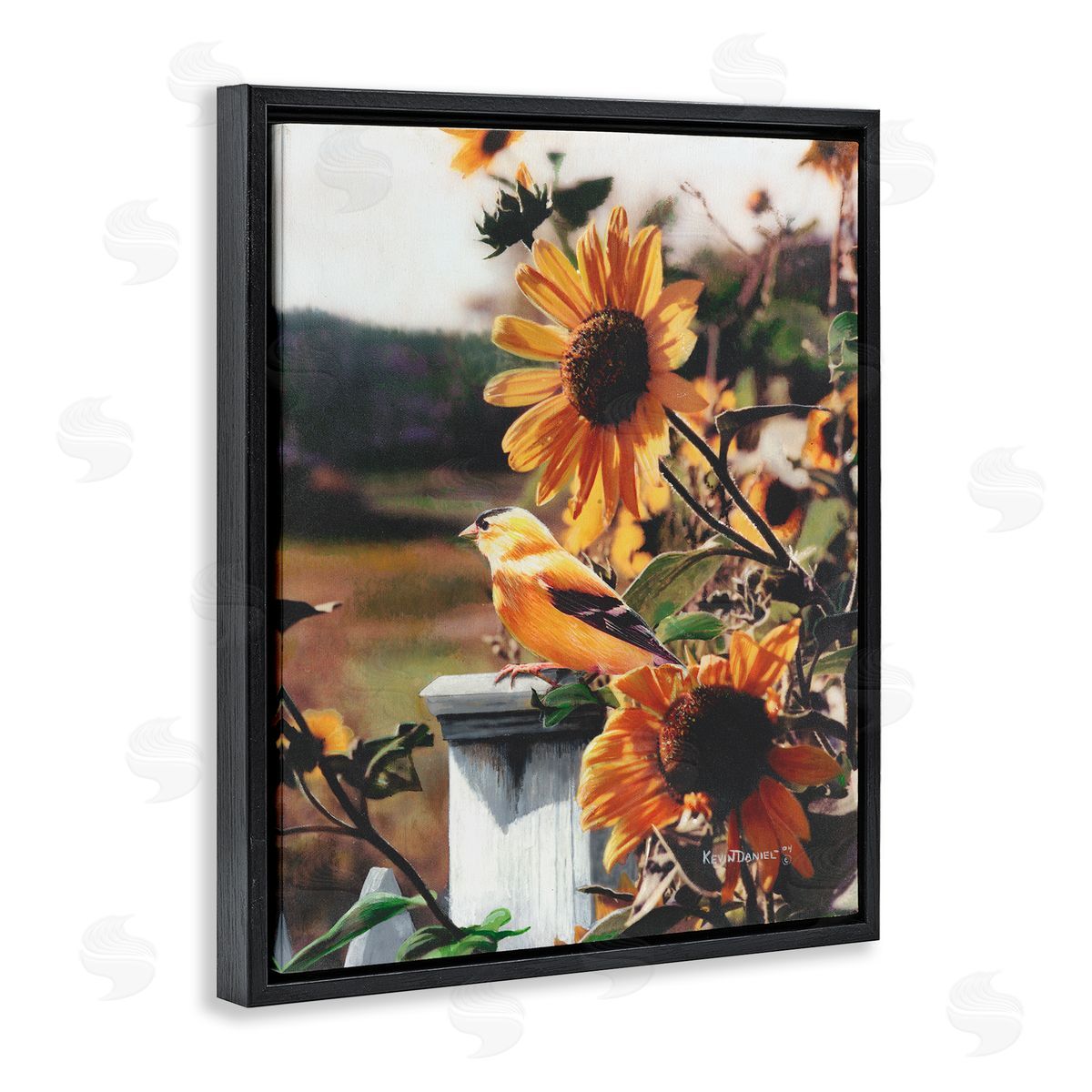 Canary Bird & Sunflowers Black Floating Frame Canvas Wall Art, Home Decor by Kevin Daniel
