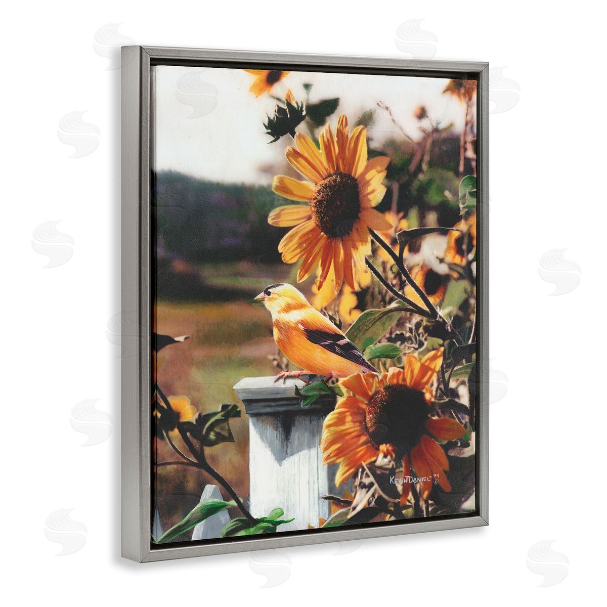 Canary Bird & Sunflowers Grey Floating Frame Canvas Wall Art, Home Decor by Kevin Daniel
