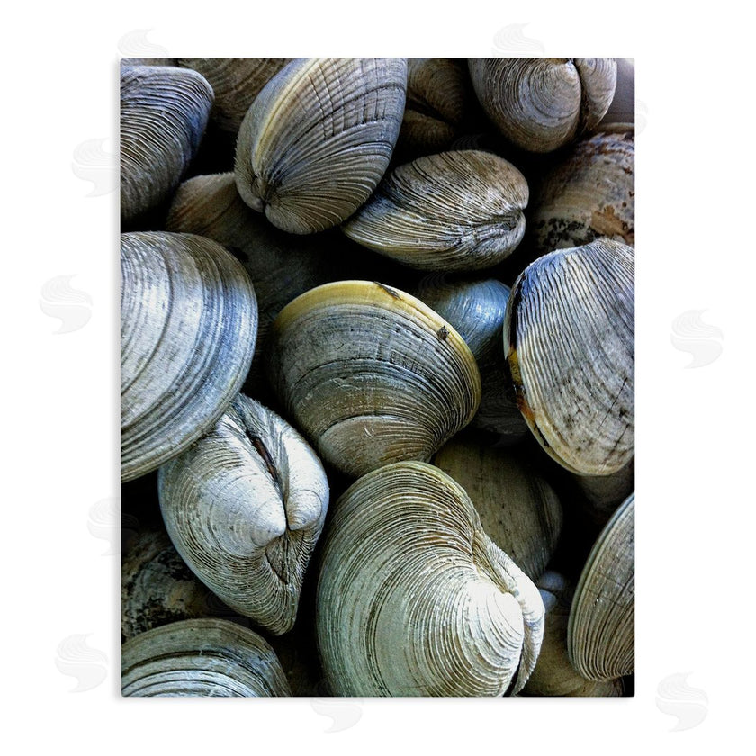 Graffi*tee Studios | Maritime Clams Pile