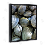 Graffi*tee Studios | Maritime Clams Pile