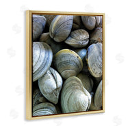 Graffi*tee Studios | Maritime Clams Pile