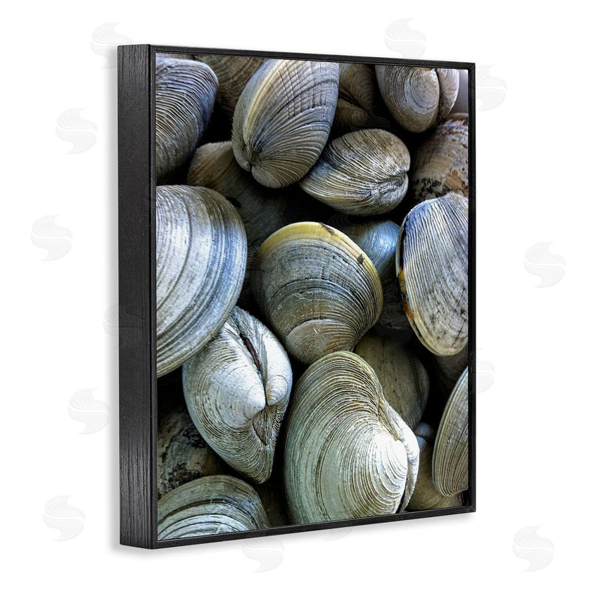 Graffi*tee Studios | Maritime Clams Pile