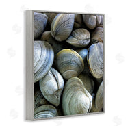 Graffi*tee Studios | Maritime Clams Pile