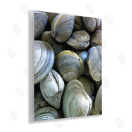 Graffi*tee Studios | Maritime Clams Pile