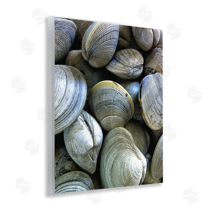 Graffi*tee Studios | Maritime Clams Pile