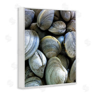 Graffi*tee Studios | Maritime Clams Pile