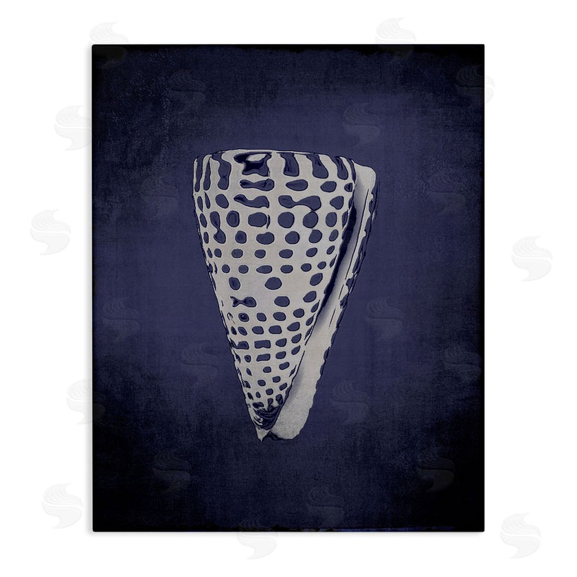 Graffi*tee Studios | Nautical Cone Shell