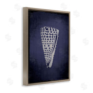 Graffi*tee Studios | Nautical Cone Shell