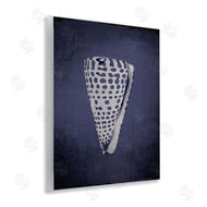 Graffi*tee Studios | Nautical Cone Shell